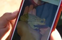 Telefonos app-al küzdenek a bolíviaiak a környezet védelméért