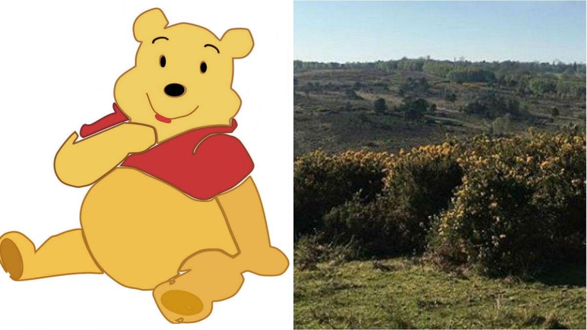 A blaze burnt a small portion of Winnie the Pooh's forest
