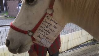 Jenny's sign helps when she meets new people