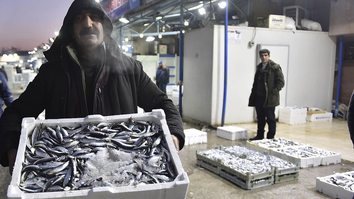 Karadeniz hamsisi Avrupa'da en çok Fransa'ya satıldı