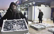 Karadeniz hamsisi Avrupa'da en çok Fransa'ya satıldı