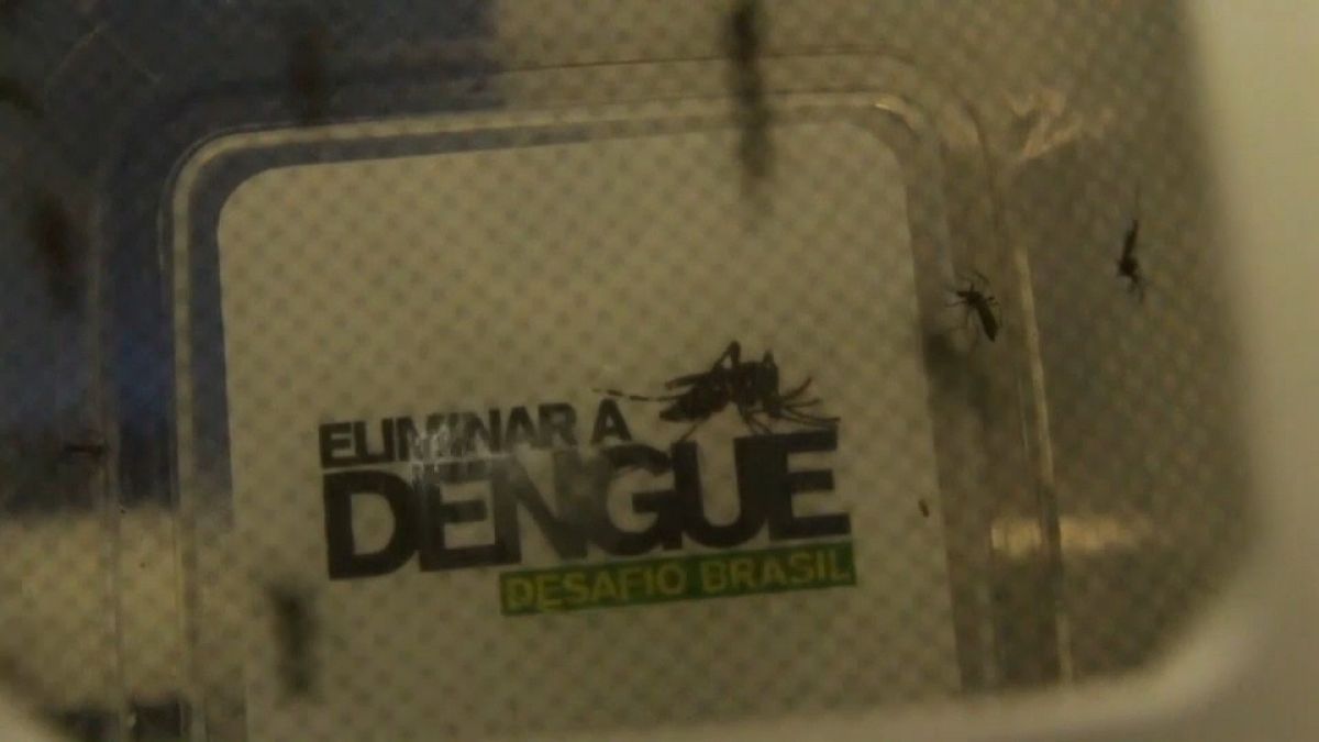 Aumenta o número de casos de Dengue no Brasil