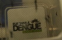 Aumenta o número de casos de Dengue no Brasil