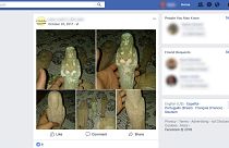 Revealed: Thousands of looted artefacts from Middle East sold in Europe via social media