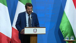 Salvini: Avrupa İslamcı halifelik haline dönüşebilir, engellemek için elimden geleni yapacağım