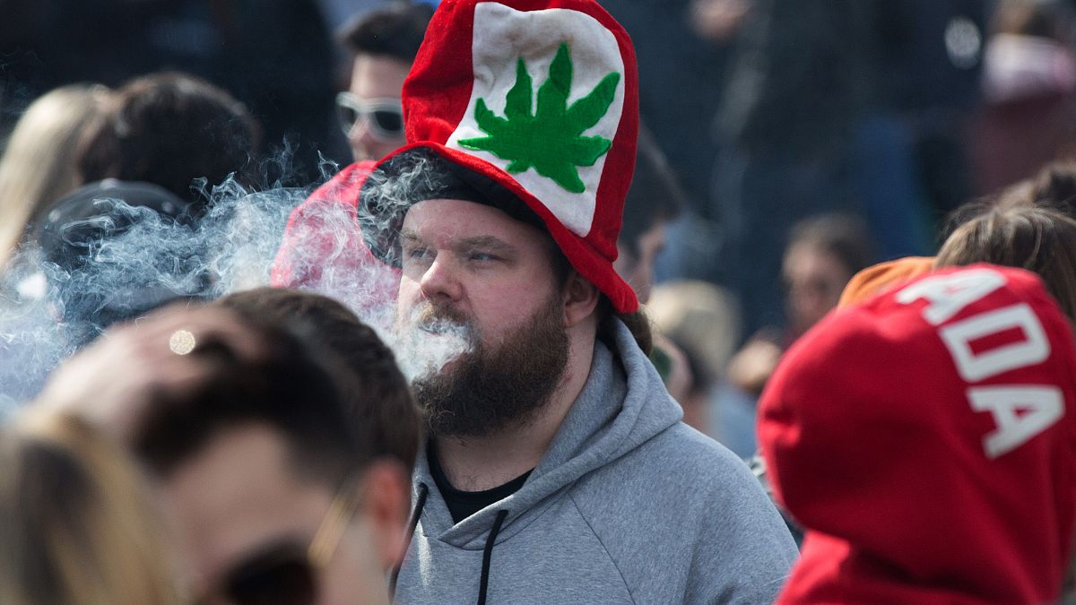 نتایج یک تحقیق: مصرف‌کنندگان جدید ماری‌جوانا در کانادا دو برابر شده‌اند