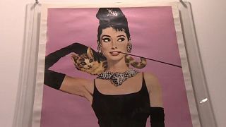 "Intimate Audrey": Exposição mostra momentos privados da atriz