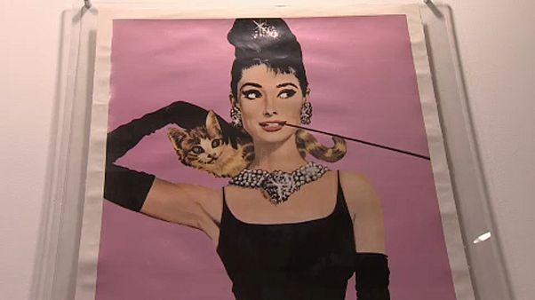 An intimate portrait into Audrey Hepburn's life An intimate portrait into Audrey Hepburn's life