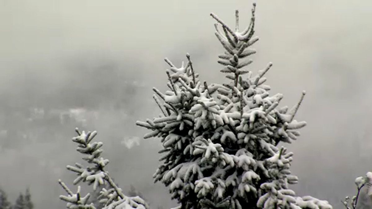 Havazott a Harz hegységben
