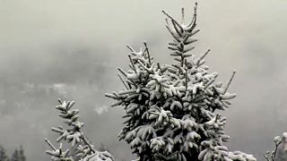 Parts of Germany receive a sprinkling of snow in May