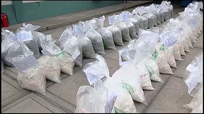 Peru'da operasyonlarda ele geçirilen 15 ton uyuşturucu madde imha edildi
