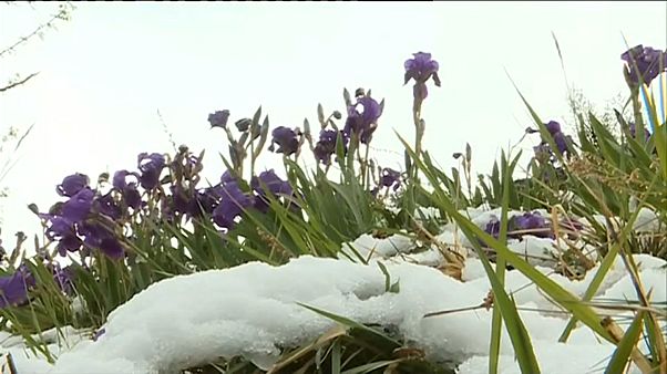 Vuelve el invierno a Europa con frío, nieve y fuertes vientos Vuelve el invierno a Europa con frío, nieve y fuertes vientos