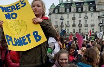 Grüne wollen mit Klimapolitik Königsmacher werden