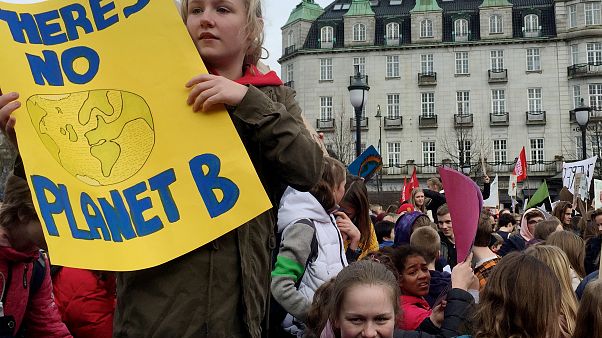 L'onda verde del Parlamento europeo: ecco chi sono i Verdi L'onda verde del Parlamento europeo: ecco chi sono i Verdi