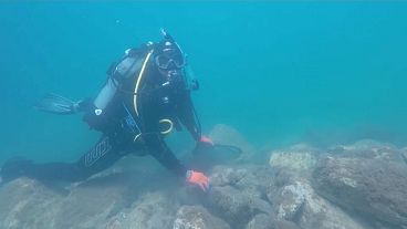 "We Dive We Clean"- Mülltaucher im Mittelmeer "We Dive We Clean"- Mülltaucher im Mittelmeer
