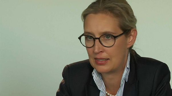 Alice Weidel: Von Trump lernen Alice Weidel: Von Trump lernen