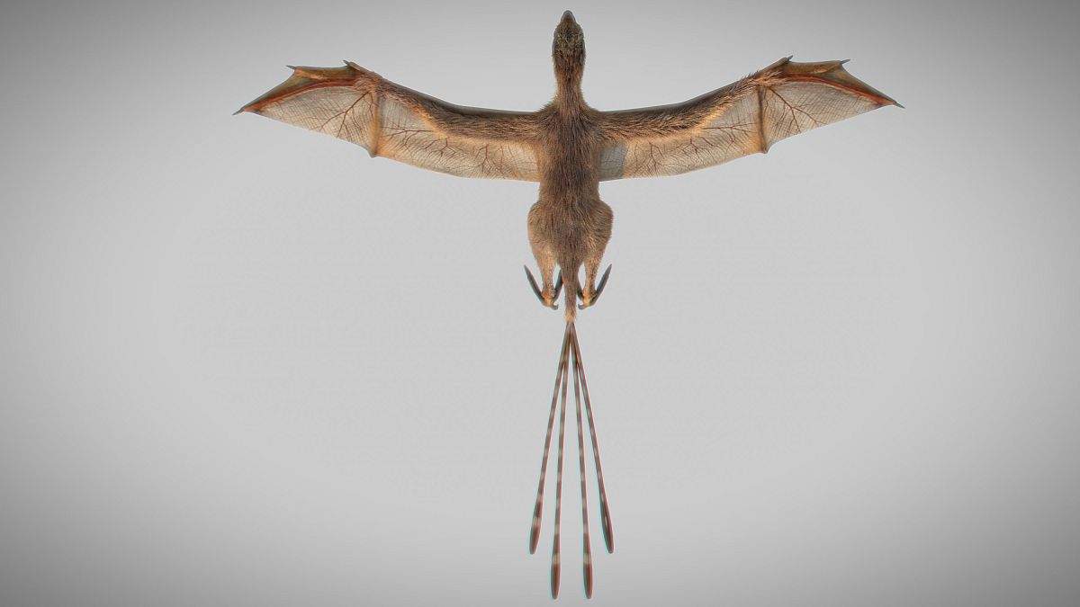 ديناصور بجناحين كالخفاش أحدث تحولا مثيرا في عملية تطور الطيور