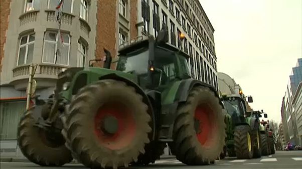 Bauernlobby ruft zur Teilnahme an Europawahl auf Bauernlobby ruft zur Teilnahme an Europawahl auf