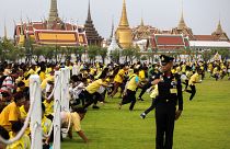 Праздник первой борозды в Таиланде