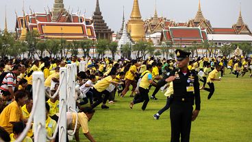 Thais scramble for sacred rice grains in annual ploughing ceremony