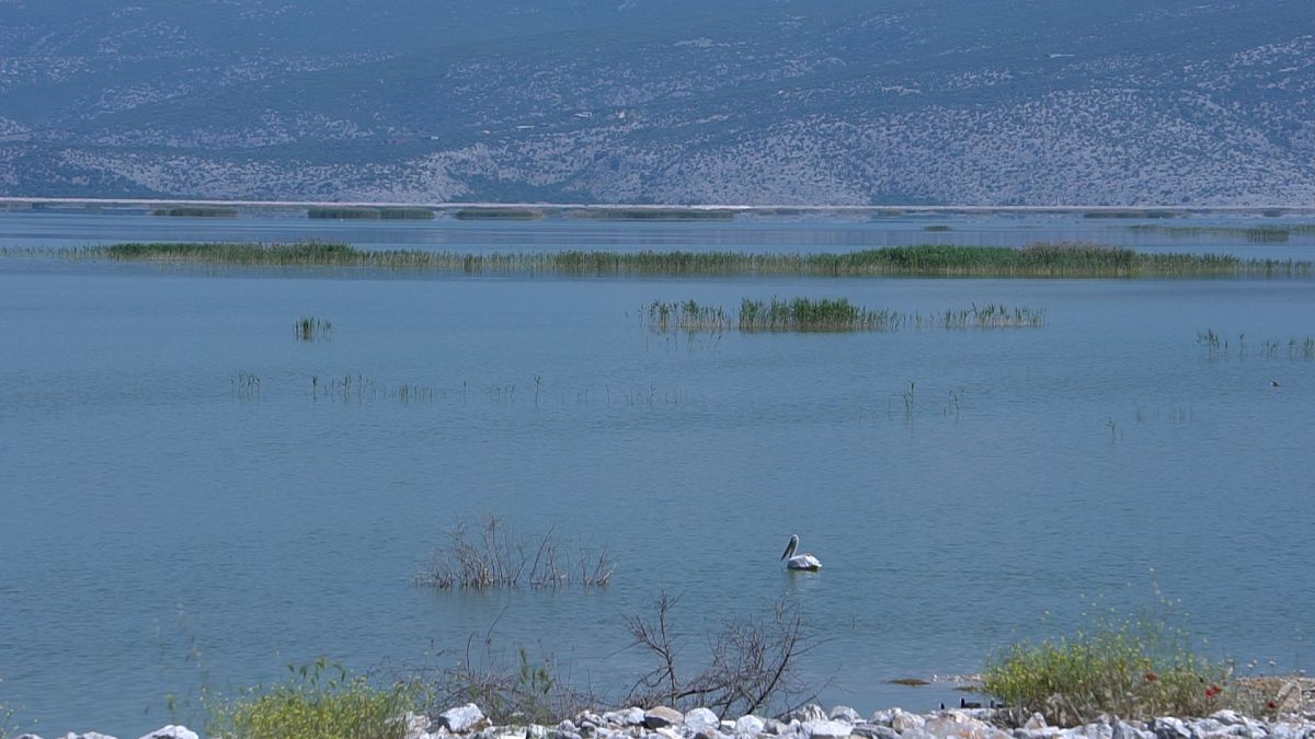Λίμνη Κάρλα: Η νεκρανάσταση ενός παραδείσου