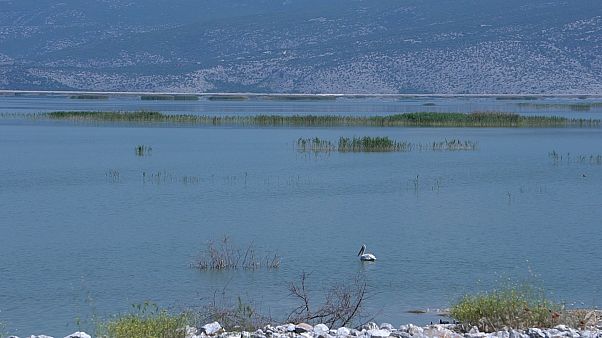 Λίμνη Κάρλα: Η νεκρανάσταση ενός παραδείσου Λίμνη Κάρλα: Η νεκρανάσταση ενός παραδείσου