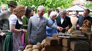 شاهد.. الأمير تشارلز وزوجته ينهيان زيارتهما لألمانيا بجولة في مزرعة 