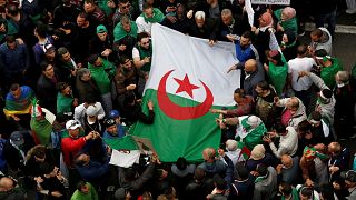 متظاهرون في الجزائر