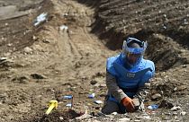 عکس تزئینی است