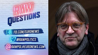 "No quiero un superestado", dice Guy Verhofstadt, candidato de los liberales a la Comisión Europea