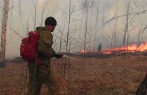 Waldbrände wüten in Sibirien: Schon 46.000 Hektar in Flammen