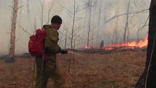 Waldbrände wüten in Sibirien: Schon 46.000 Hektar in Flammen