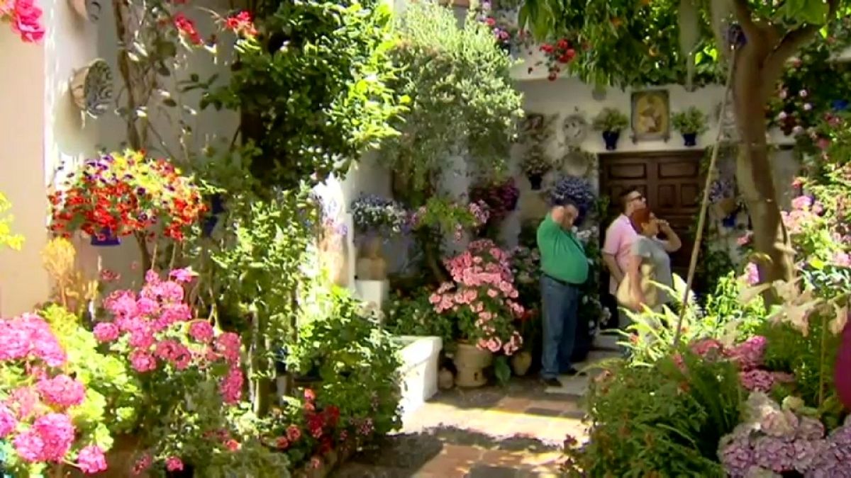 Córdoba se inunda de flores para su concurso de patios