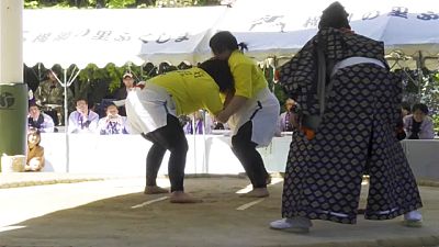Japon : la fête des mères célébrée par des combats de sumos exclusivement féminins