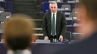 The Brief from Brussels: Euroskeptiker und die Europa-Wahl
