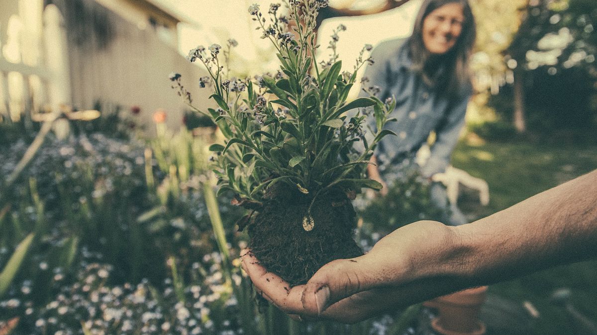 #GoodReads | Gardening for depression and profiting from fast fashion