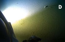 Okyanusun 10 bin 928 metre derinliğine inen rekortmen, insan yapımı plastik atık buldu