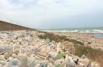 Mobillal a tisztább tengerpartokért