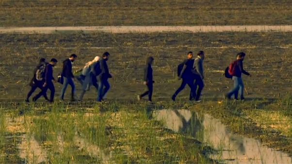 Il caso dei migranti turchi respinti illegalmente dalla Grecia da "uomini mascherati e con bastoni" Il caso dei migranti turchi respinti illegalmente dalla Grecia da "uomini mascherati e con bastoni"