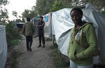 Dzsungelélet a számoszi táborban