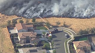Калифорнийские пожары: кто виноват?