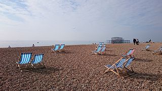 How to have a green weekend in Brighton 