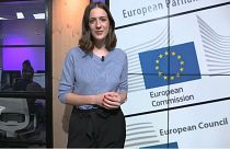Video: European elections — if turnout is down, who is voting?