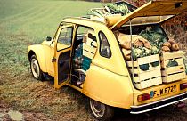 Fresh produce delivery boxes