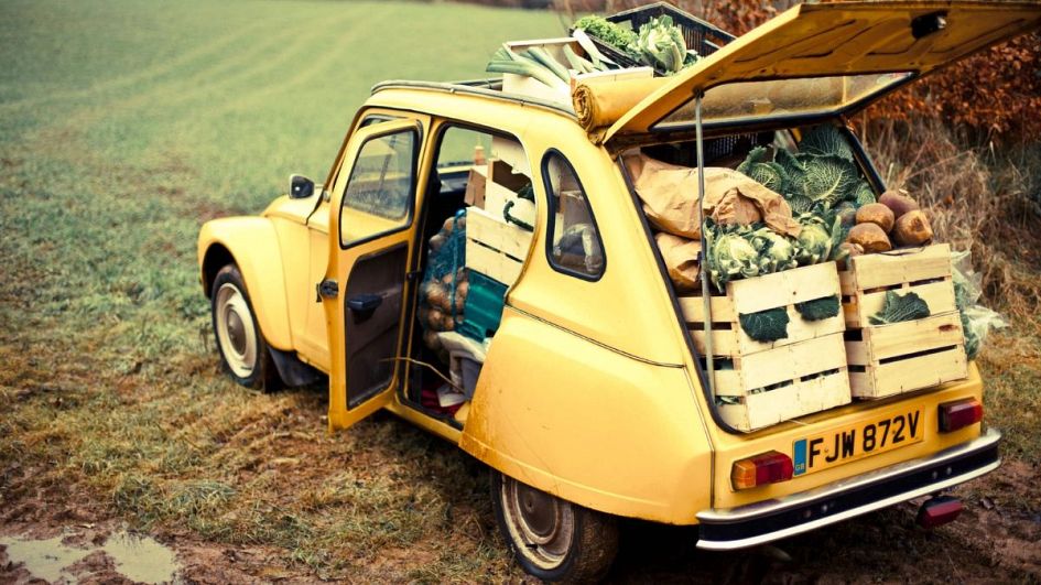 Which European country produces the most organic food and drink?