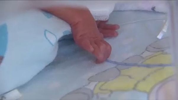 В Кракове родилась шестерня В Кракове родилась шестерня