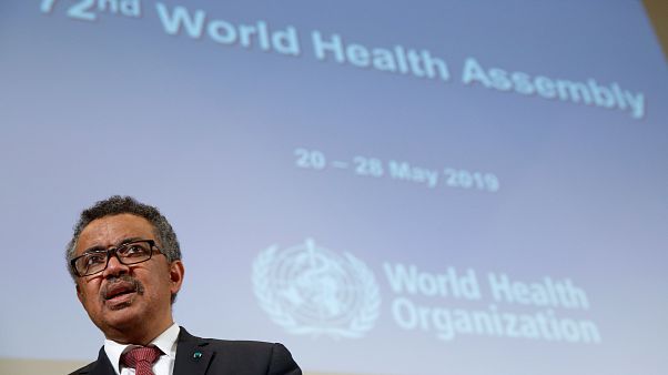 Angola fala em nome de África na OMS Angola fala em nome de África na OMS