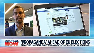 Fake content floods Facebook ahead of EU elections
