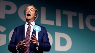 Brexit Party leader Nigel Farage at a campaign event 