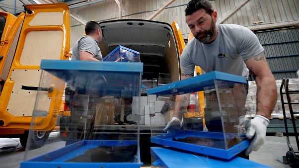 Успех крайне правых и скромные результаты традиционных партий: выборы в Европарламент за минуту